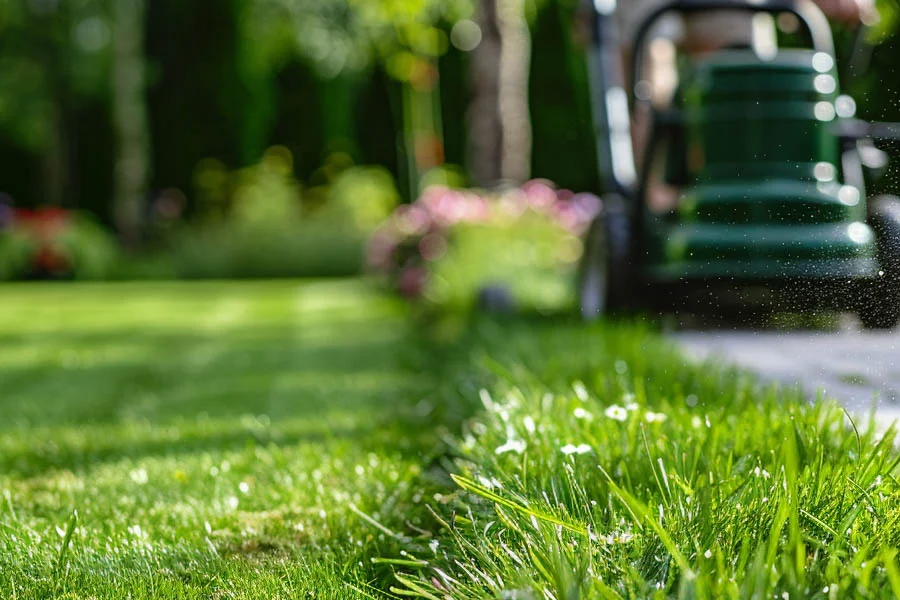 cordless electric lawn equipment